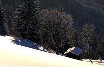Pension Jordan Kirchberg in Tirol Exteriör bild